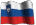 slovenian